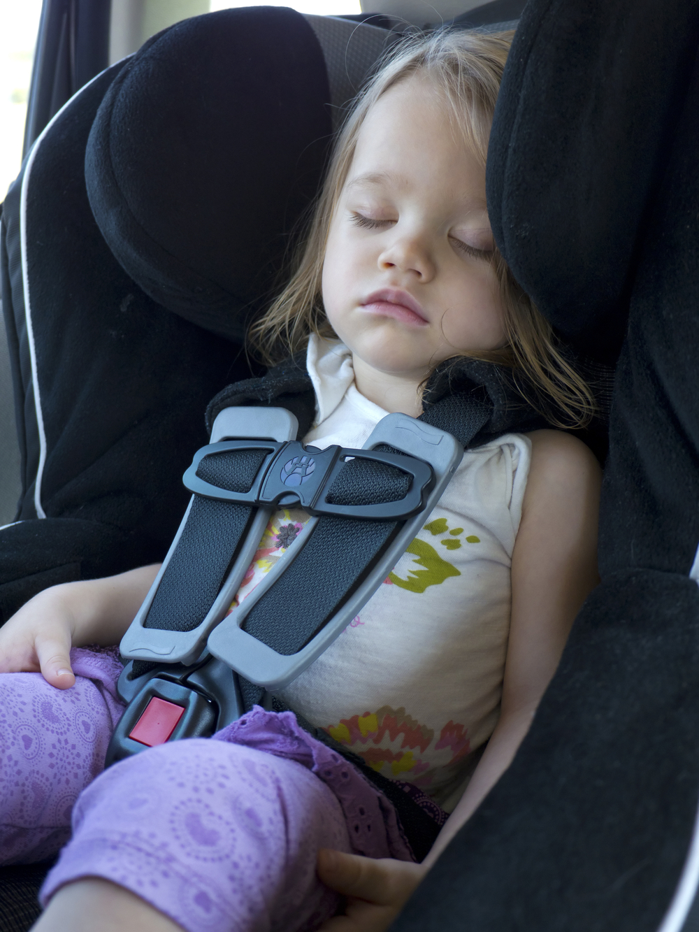 Child Safety Restraints Reduce Car Accident Fatalities Car Accident