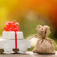 Car model tied with red ribbon and money bag with growing of col